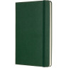 Блокнот MOLESKINE Classic Large, пунктир, зелёный QP066K15
