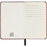 Блокнот MOLESKINE LIMITED EDITION PRESCIOUS & ETHICAL SHINE XS 65х105 мм 160 стр. нелинованный, твердая обложка, бордовый металлик LEHSHINEMP012MRED