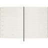 Набор MOLESKINE LIMITED EDITION PRECIOUS & ETHICAL SHINE еженедельник/ручка перьевая/папка-конверт XLarge, ручка Kaweco, золотистый LEHSHINEUNDBUNDG